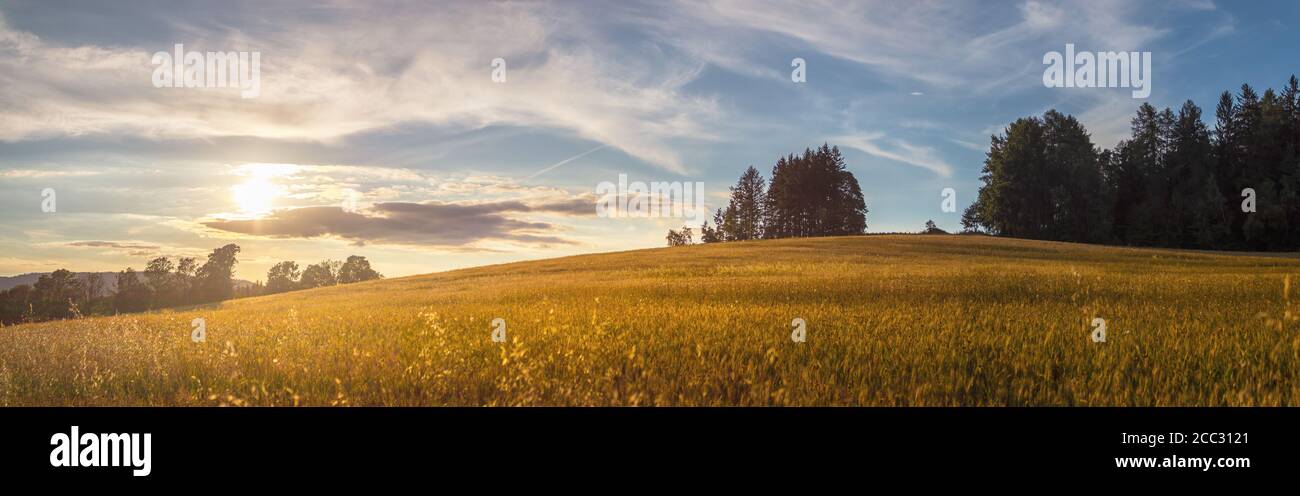 campo al tramonto - tramonto sole, estate sera in campagna Foto Stock