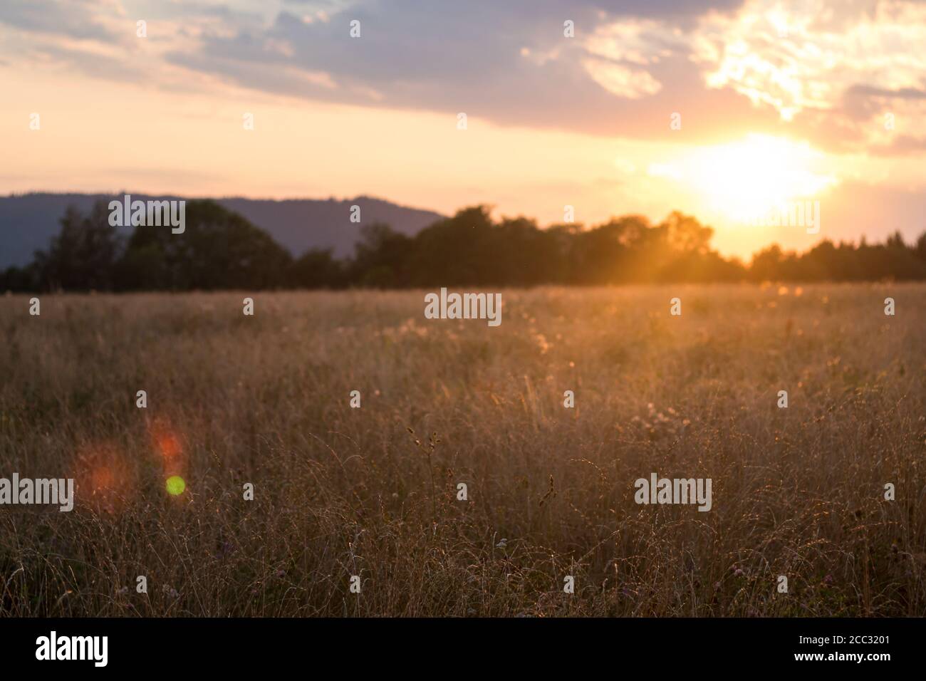 campo al tramonto - tramonto sole, estate sera in campagna Foto Stock