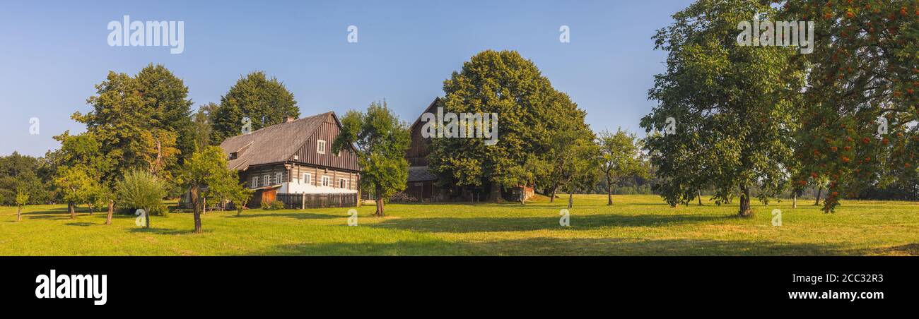 cottage in legno - ceco tradizionale casa in legno con alberi nelle vicinanze Foto Stock