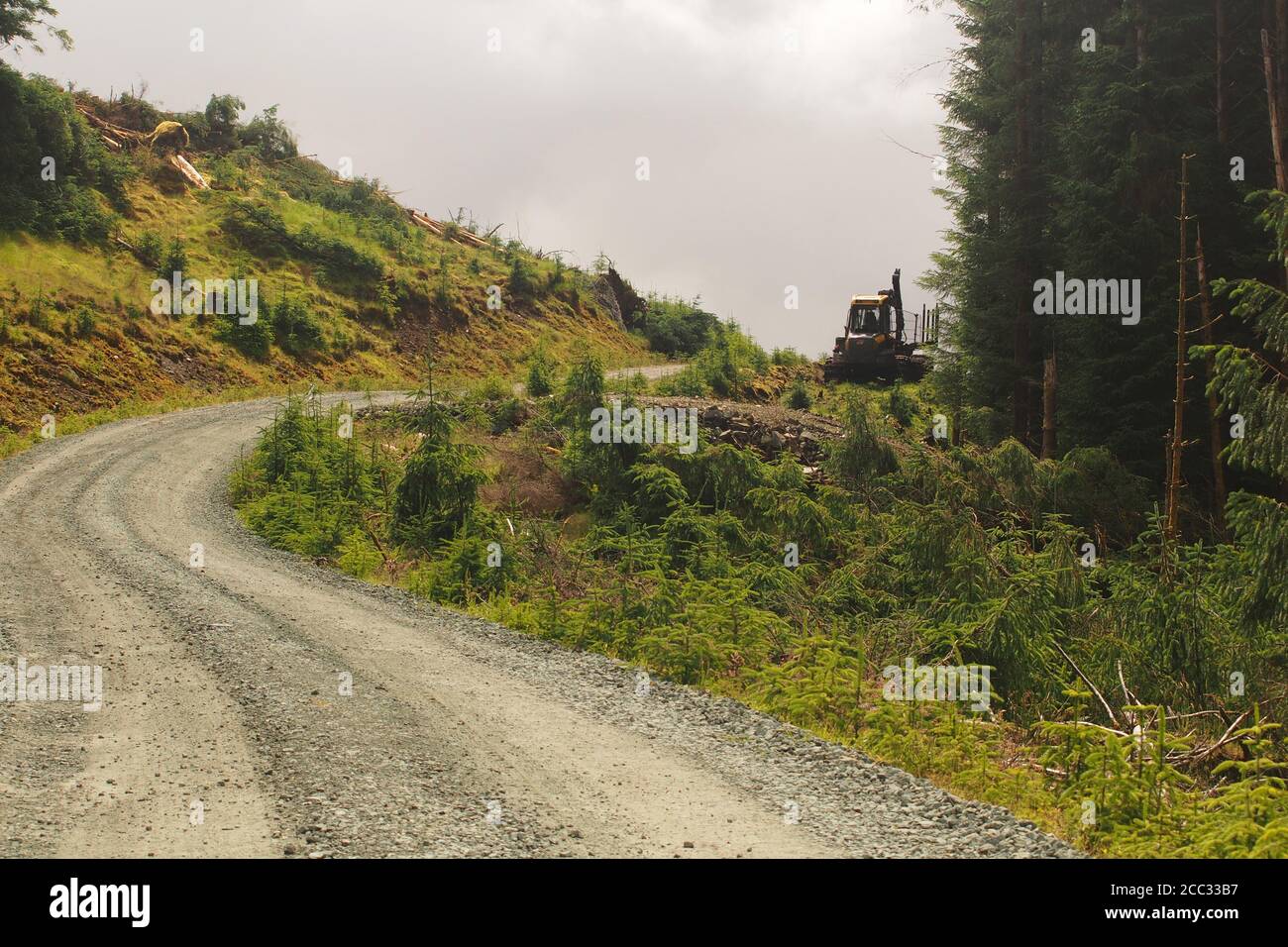 Forwarder Ponsse, macchina per il taglio e il carico di tronchi per impieghi pesanti, sul lato di un binario forestale in attesa di essere utilizzato nella foresta di Eredine, Argyll, Scozia Foto Stock