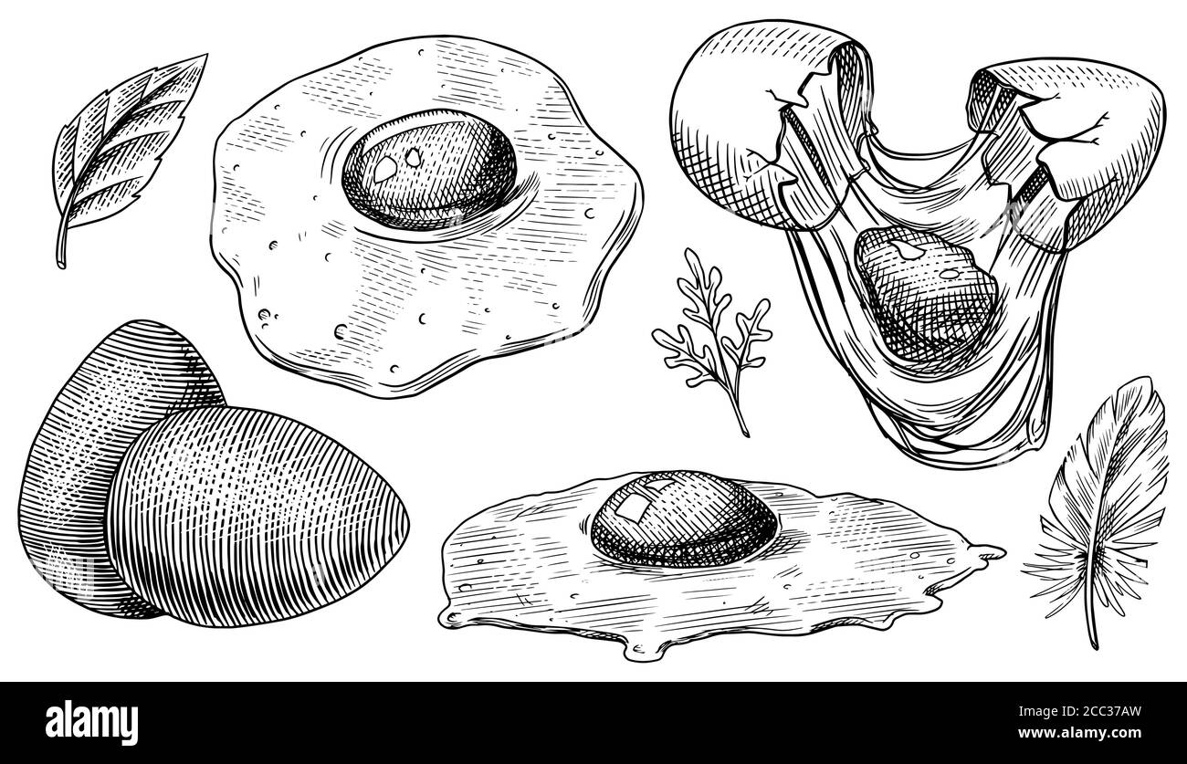 Uova e omelette strapazzate, prodotto agricolo. Schizzo vintage inciso a mano. Stile di legno. Illustrazione vettoriale per menu o poster. Illustrazione Vettoriale