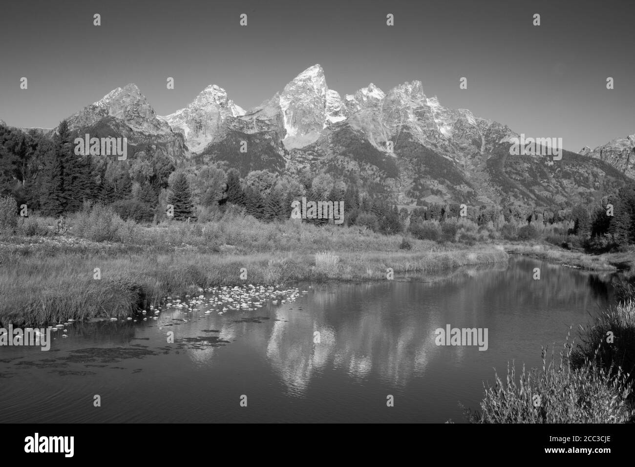 Le montagne di Teton si riflettono nel fiume Snake Foto Stock