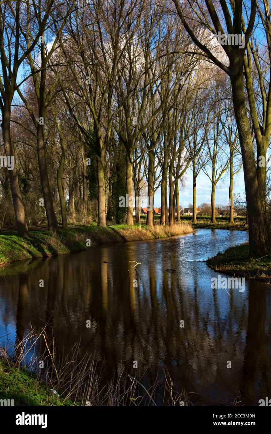 Una pittoresca scena boschiva nel piccolo villaggio di Damme, in Belgio Foto Stock