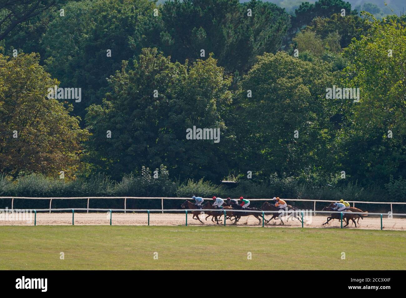 Ferrobin guidato da Harry Skelton (verde/rosso) sulla loro strada per vincere le punte libere giornaliere su attheraces.com handicap hurdle al Fontwell Park Racecourse. Foto Stock