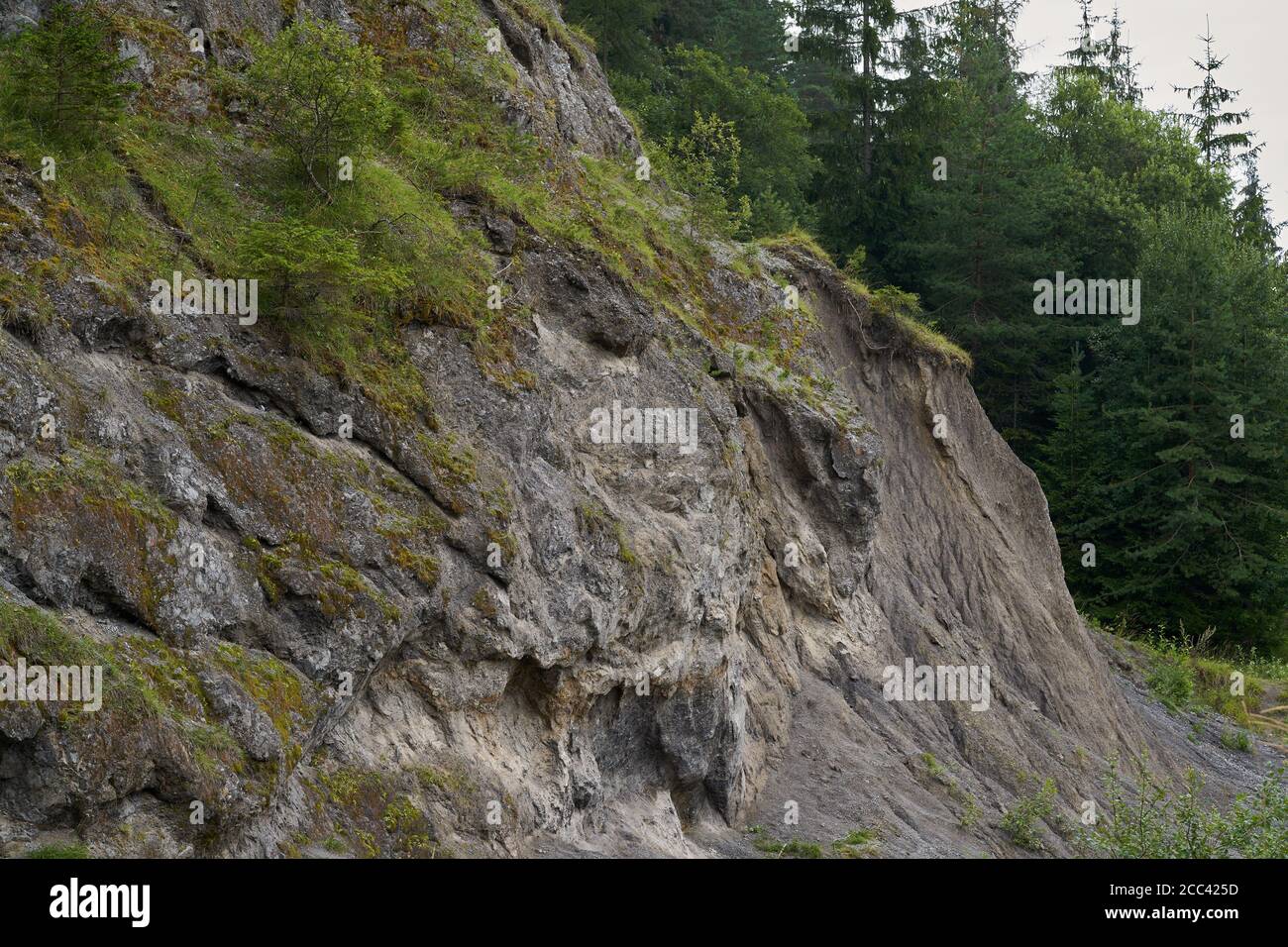 Vista di una vecchia cava di pietra calcarea adulta di muschio e alberi. Alberi di abete rosso sullo sfondo. Foto Stock