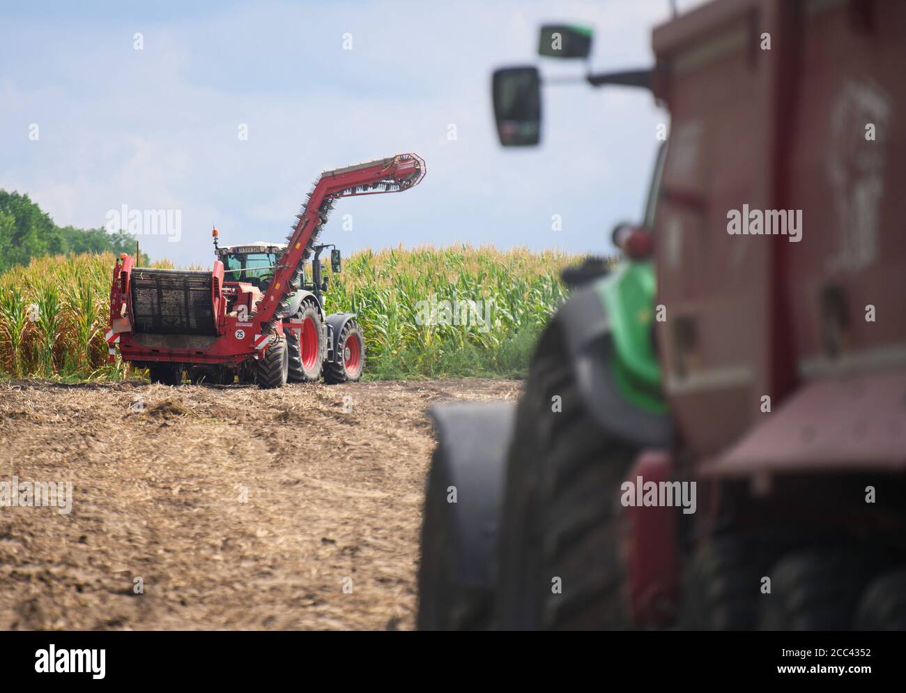 18 agosto 2020, Brandeburgo, Niedergörsdorf/Oehna: Durante la raccolta della patata, nel distretto di Brandeburgo di Teltow-Fläming, su un campo appartenente alla Oehnaland Agrargesellschaft mbH. In occasione di una conferenza stampa, il ministro dell'Agricoltura del Brandeburgo e il presidente degli agricoltori del Brandeburgo hanno presentato il bilancio del raccolto 2020. Foto: Soeren Stache/dpa-Zentralbild/ZB Foto Stock