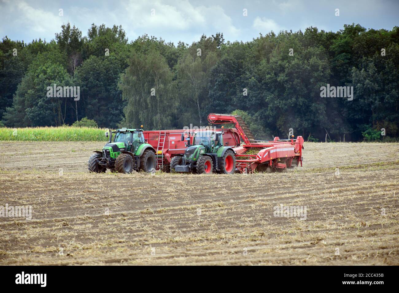 18 agosto 2020, Brandeburgo, Niedergörsdorf/Oehna: Durante la raccolta delle patate, due trattori guidano su un campo della Oehnaland Agrargesellschaft mbH, nel distretto di Brandeburgo di Teltow-Fläming. In occasione di una conferenza stampa, il ministro dell'Agricoltura del Brandeburgo e il presidente degli agricoltori del Brandeburgo hanno presentato il bilancio del raccolto 2020. Foto: Soeren Stache/dpa-Zentralbild/ZB Foto Stock