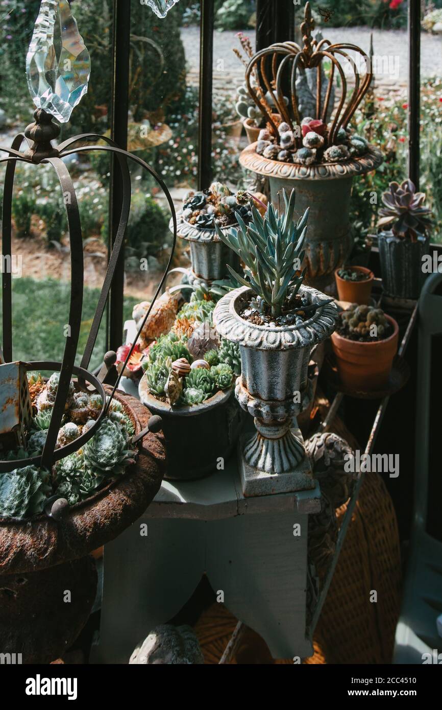 Oggetti decorativi e piante in veranda. Foto di alta qualità Foto Stock