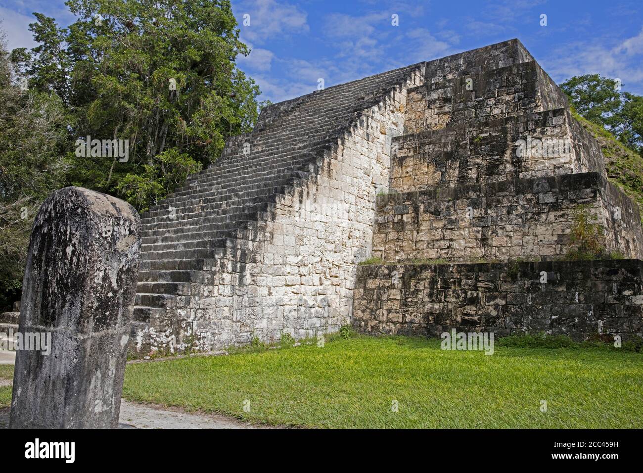 Antiche rovine di Tikal / Yax Mutal, antica città maya vicino alla città Flores, Petén Dipartimento, Guatemala, America Centrale Foto Stock