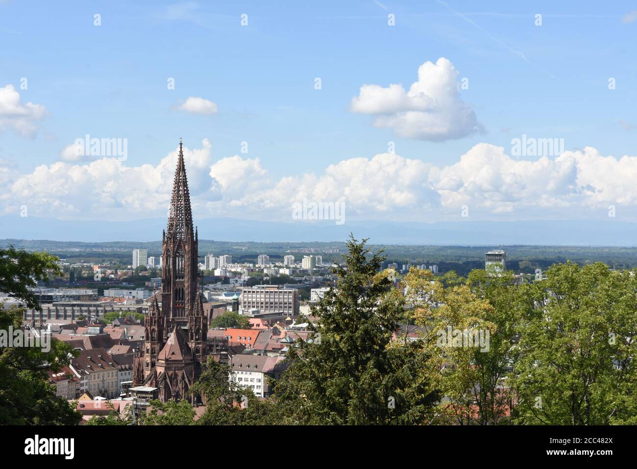 Freiburg Minster, la cattedrale di Friburgo in Breisgau, Germania sud-occidentale. La torre gotica della chiesa completata nel Medioevo è circondata da edificio. Foto Stock