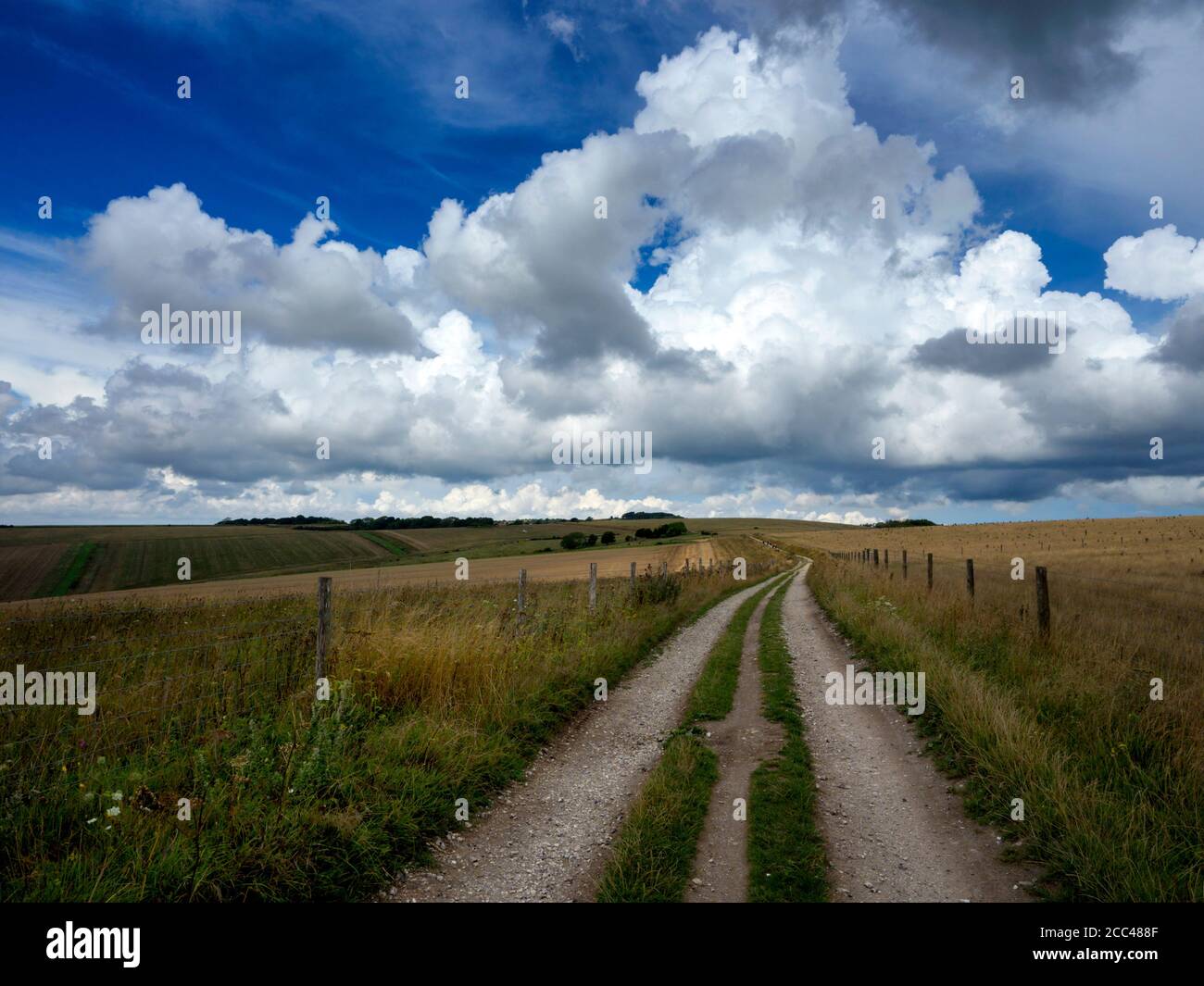 South Downs Way nel South Downs National Park sopra la città vecchia di Steyning, West Sussex Foto Stock