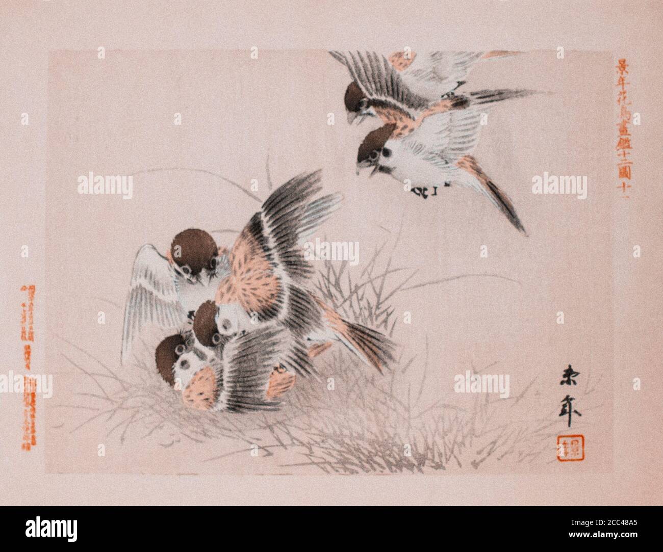 Imao Keinen: Keinen Kacho Gafu (quattro stagioni Bird e Flower Albums), Sparrows Data. Giappone. 1892 Imao Keinen (1924 – 1845) è stato un Foto Stock