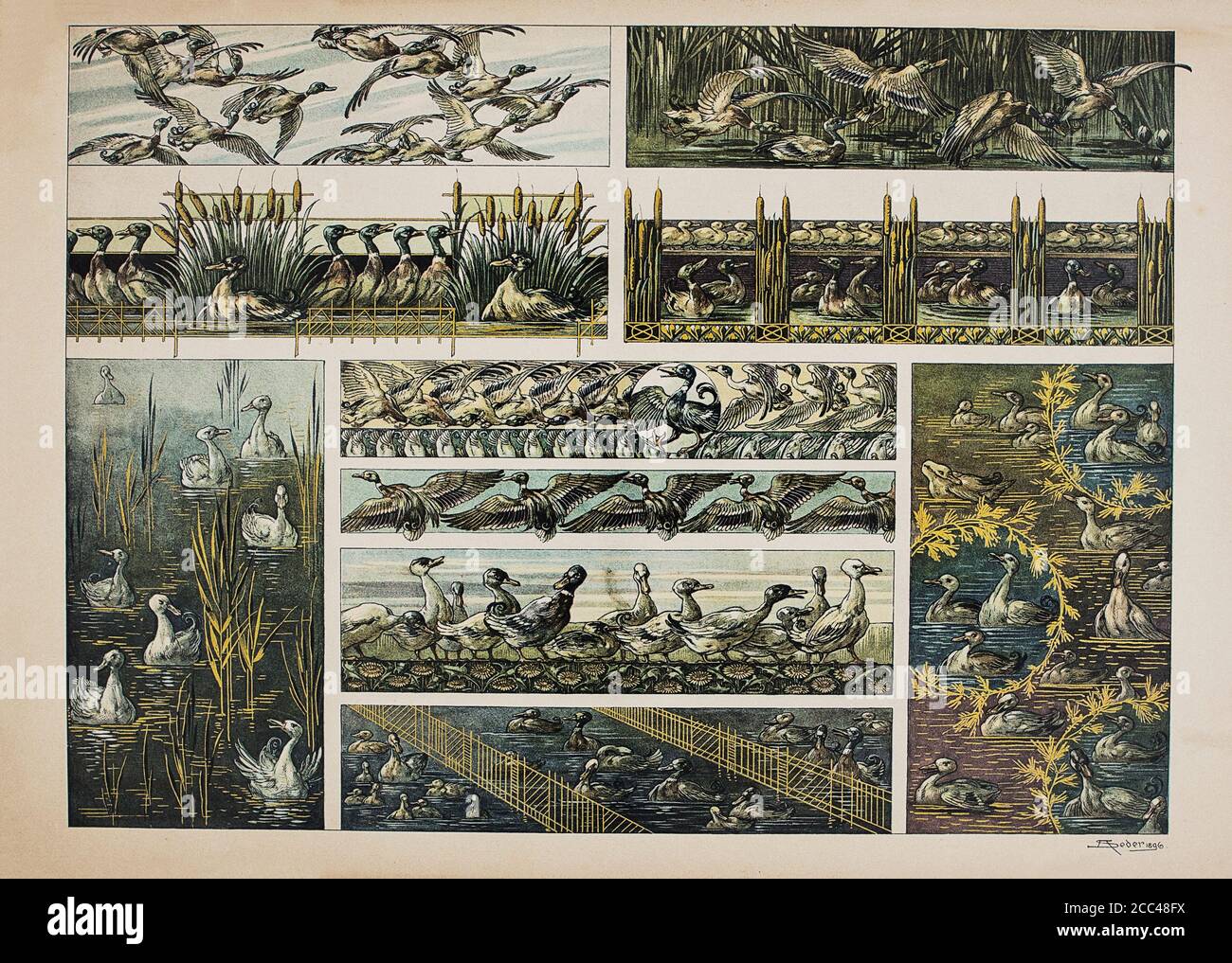 Stampa litografica Art Nouveau di Anton Sedar. Serie animale: Anatre. Center Anton Johann Nepomuk Seder Anton Johann Nepomuk Seder (1850 – 1916) è stato un Foto Stock