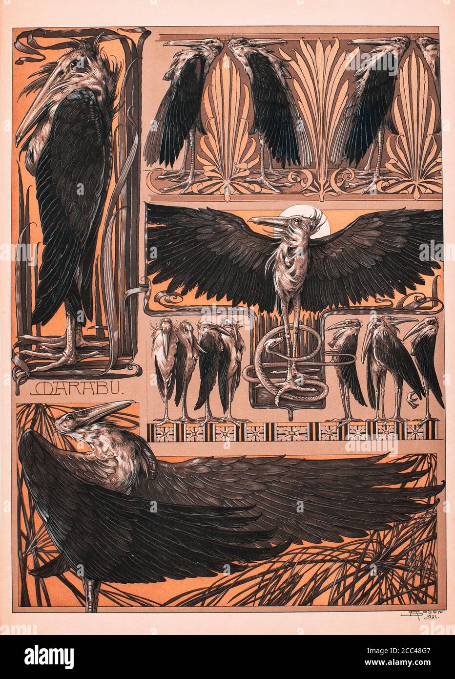 Stampa litografica Art Nouveau di Anton Sedar. Serie animali. Vienna, Austria-Ungheria. 1897 Anton Johann Nepomuk Seder (1850 - 1916) è stato un Foto Stock
