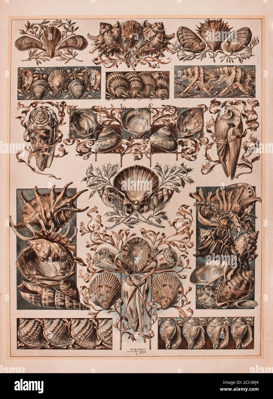 Stampa litografica Art Nouveau di Anton Sedar. Serie animali. 1900 Anton Johann Nepomuk Seder (1850 - 1916) è stato un pittore e decoratore tedesco, professo Foto Stock