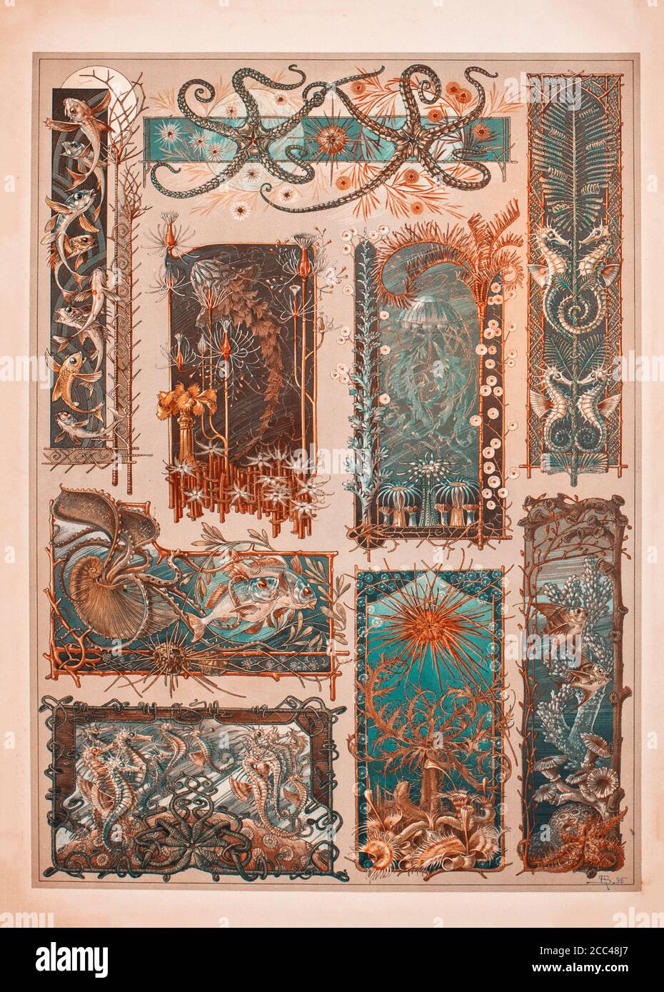 Stampa litografica Art Nouveau di Anton Sedar. Serie animali. 1900 Anton Johann Nepomuk Seder (1850 - 1916) è stato un pittore e decoratore tedesco, professo Foto Stock