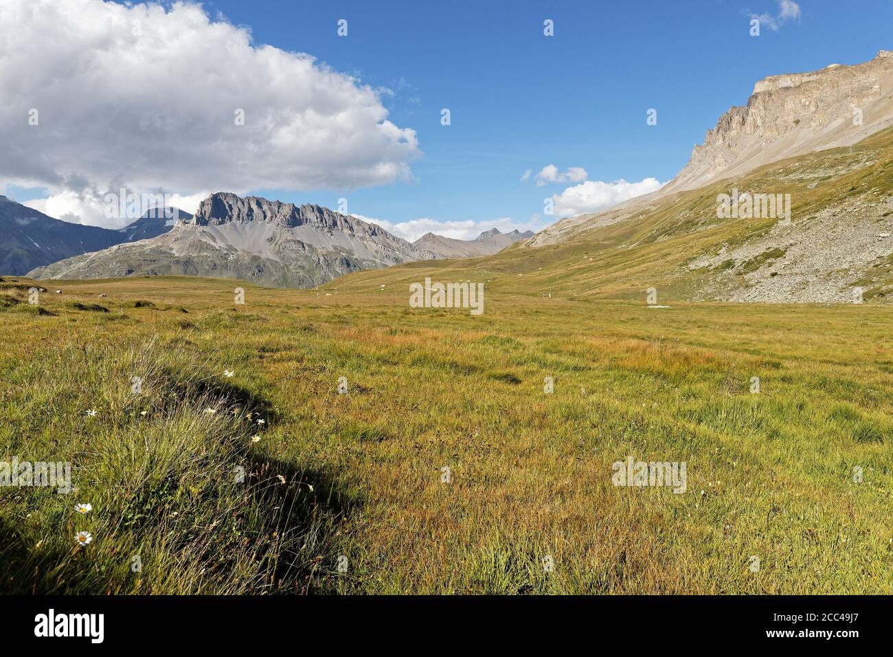 Montagne e prati del Parc National de la Vanoise Foto Stock