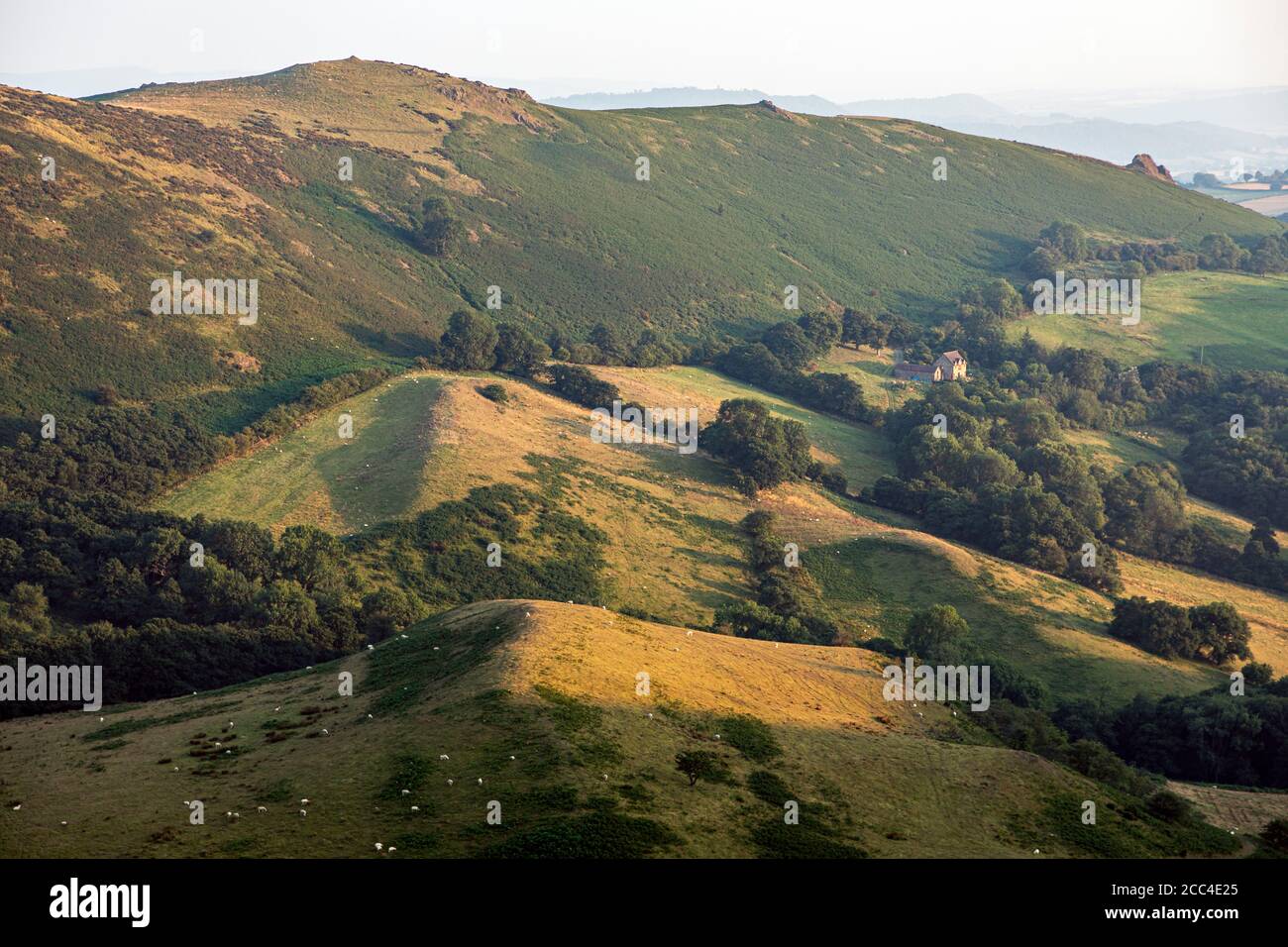 Luce serale su Hope Bowdler Hill nelle Shropshire Hills Vicino a Church Stretton Foto Stock