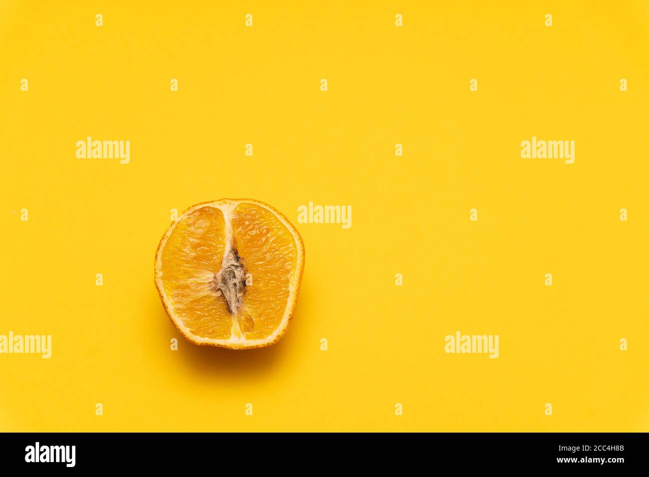 Closeup alla mandarino d'arancia essiccata ammuffita su sfondo giallo, Foto Stock