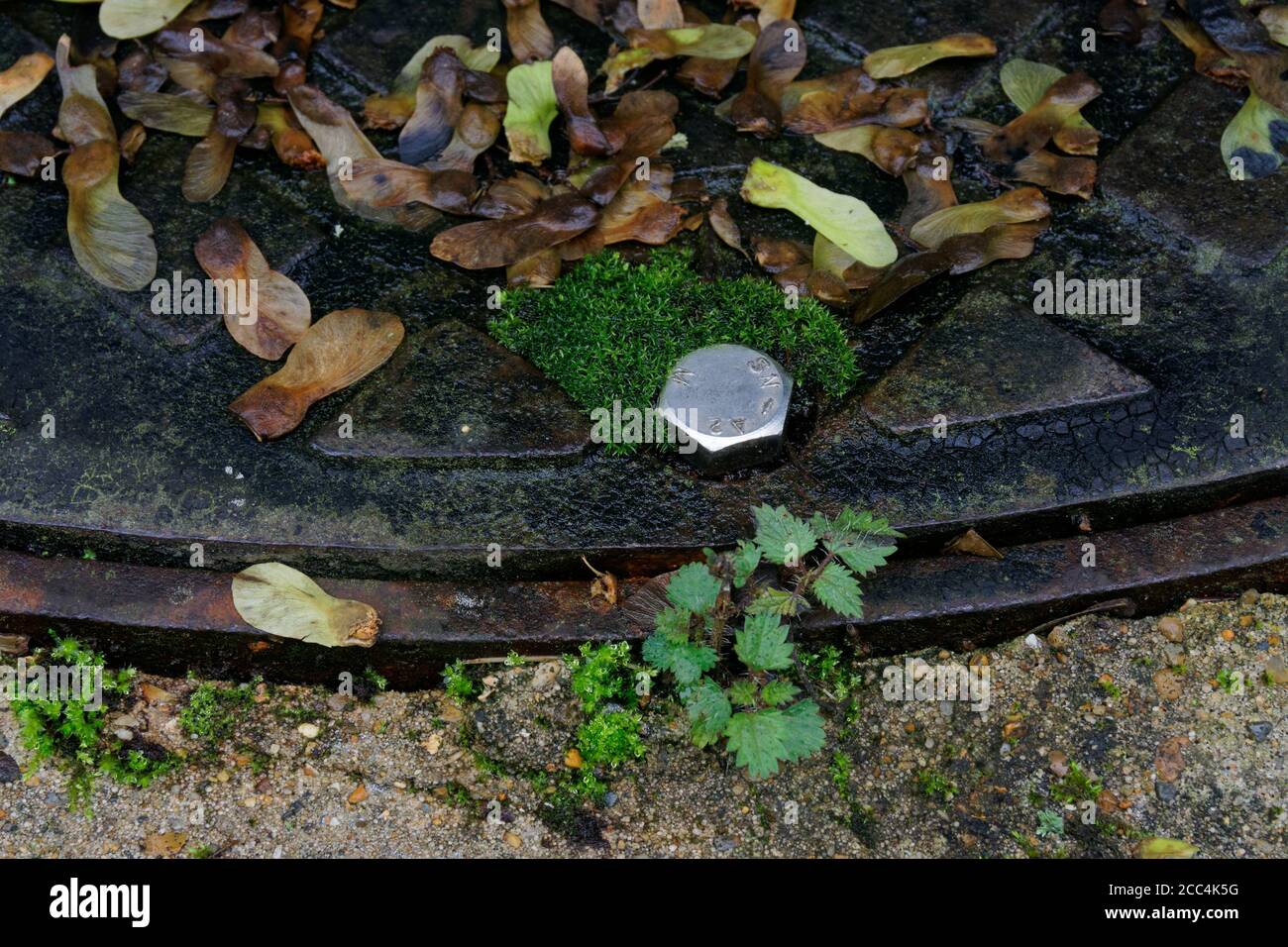 Testa del bullone in acciaio inox su un coperchio per tombini. Foto Stock