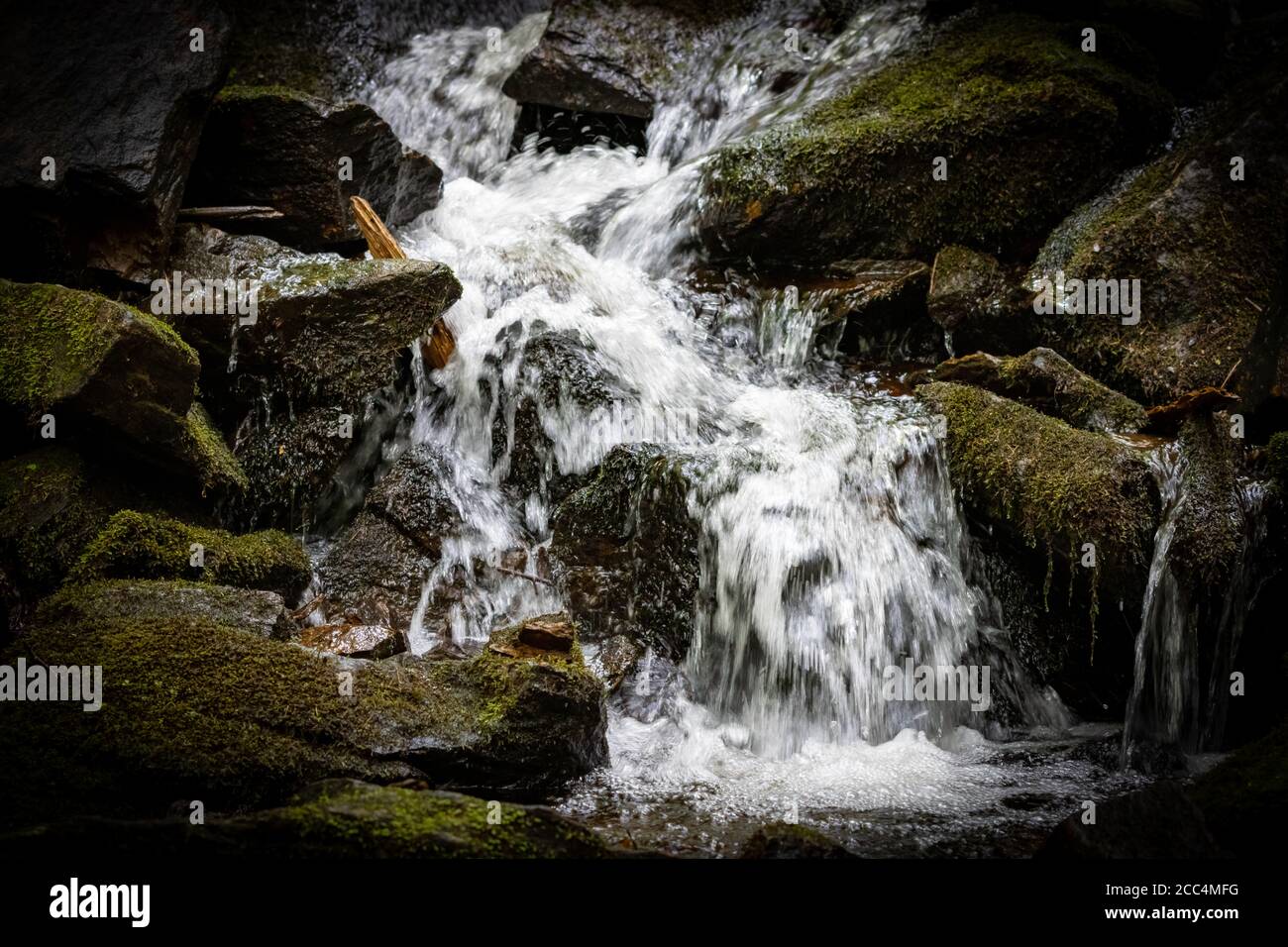 Piccola cascata veloce nella foresta canadese Foto Stock