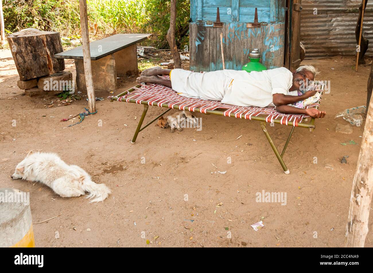 Puttaarthi, Andhra Pradesh, India - 12 gennaio 2013: Anziano indiano che riposa sul divano all'aperto con cani nelle vicinanze a Puttaarthi, India Foto Stock