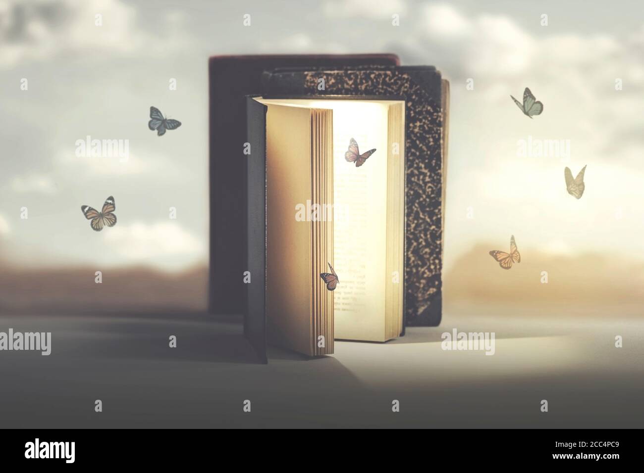 concetto di libertà e fantasia delle farfalle che escono un libro misterioso Foto Stock