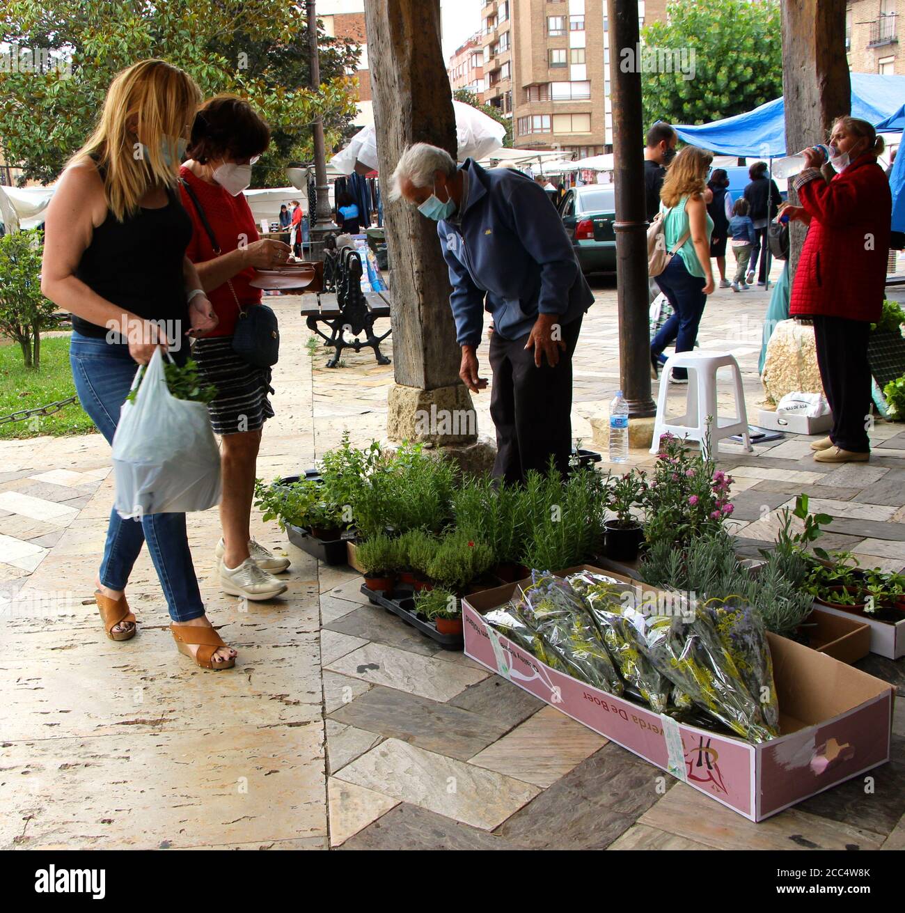 Commercianti di mercato che vendono piante e fiori in Plaza Espana in Saldaña Spagna giorno di mercato il Martedì con passaggi coperti e colonne di legno Foto Stock