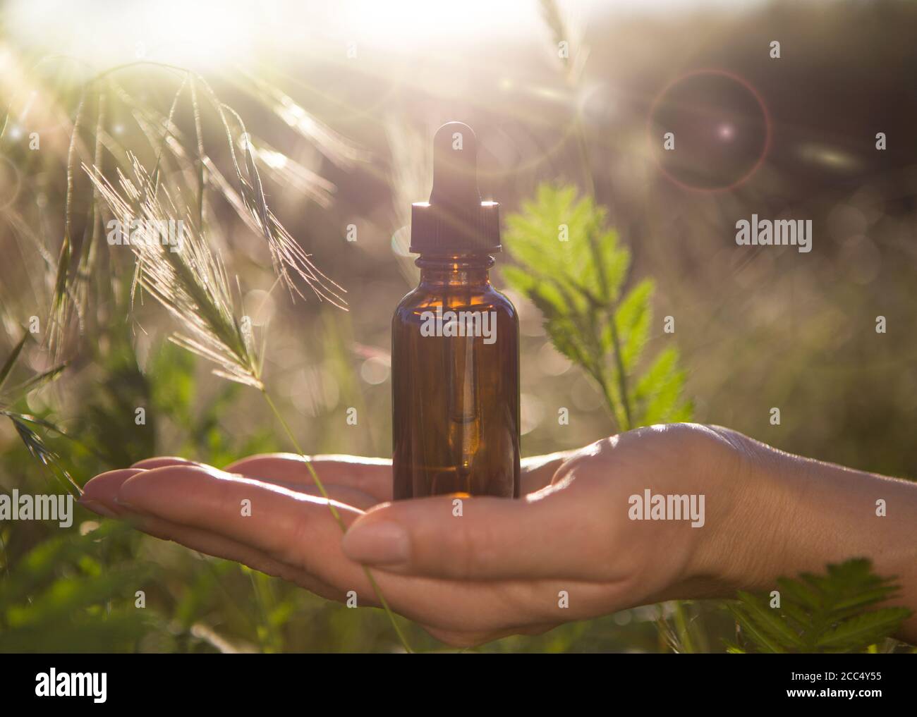 Cosmetici per la cura dell'olio nelle mani della donna. Foto Stock