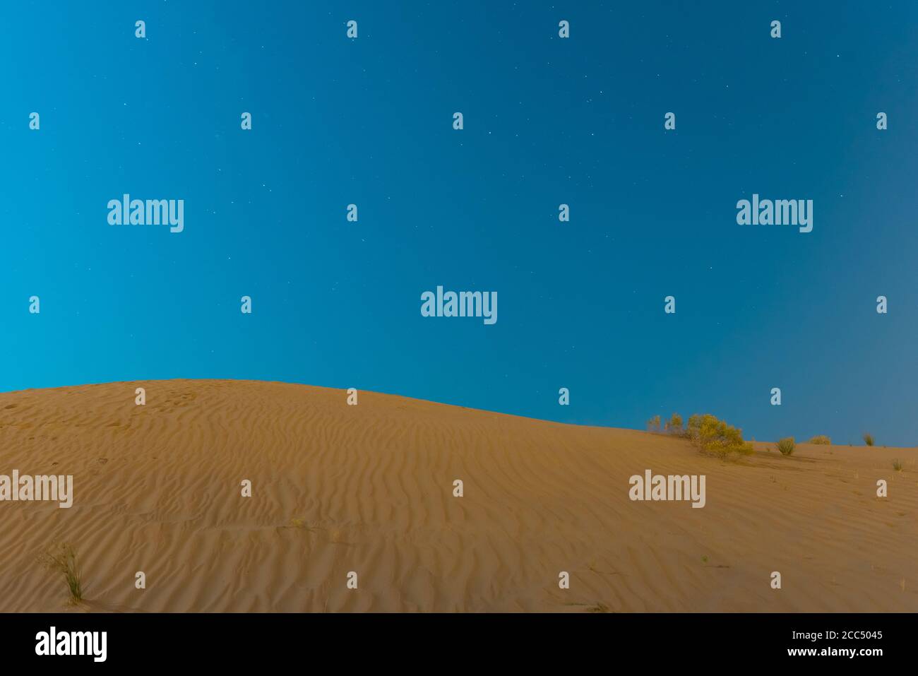Dune del deserto di Dubai con cielo stellato blu Foto Stock