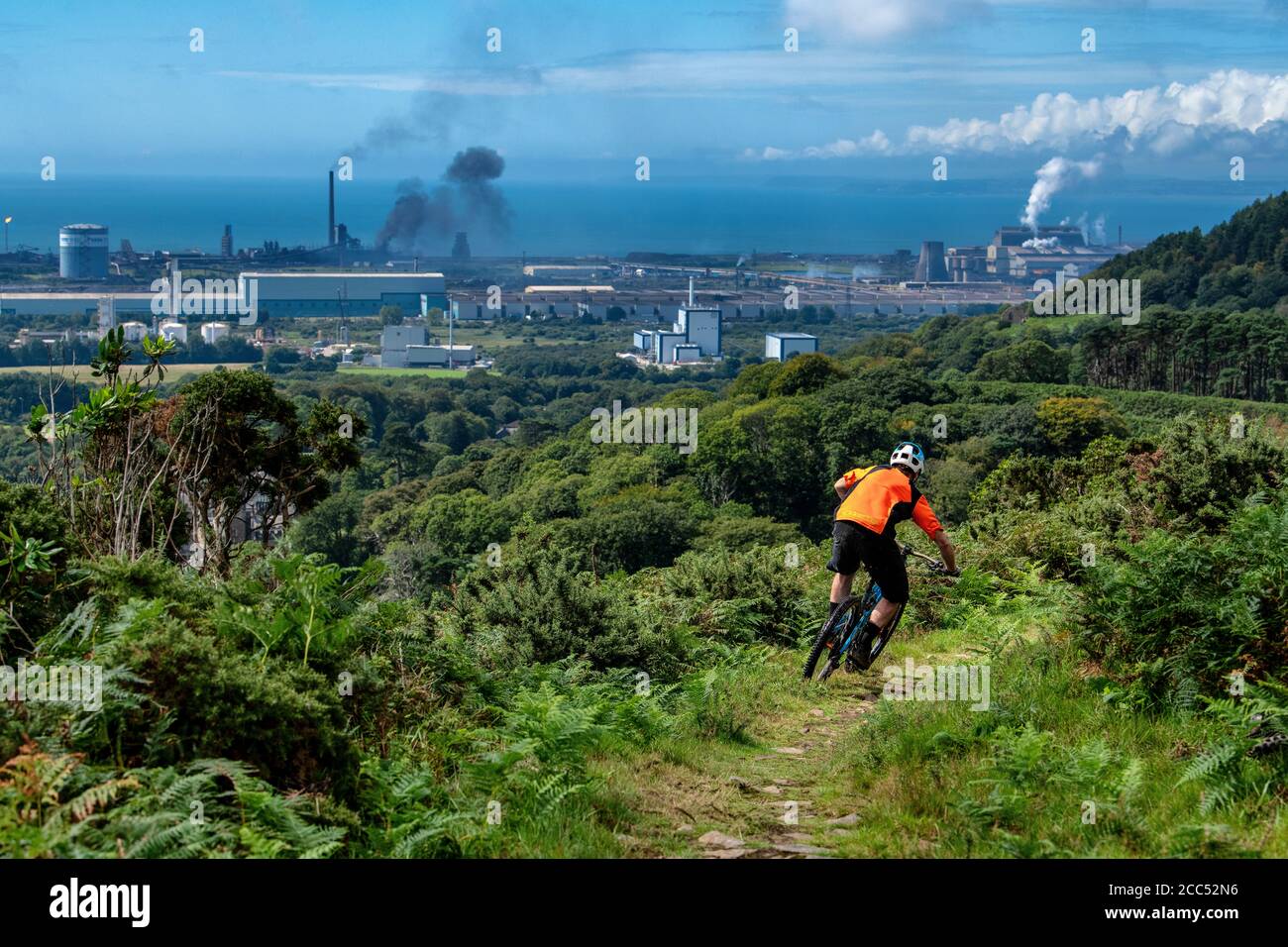 Un uomo guida una mountain bike su un sentiero al Margam Country Park vicino a Port Talbot nel Galles del Sud. Foto Stock