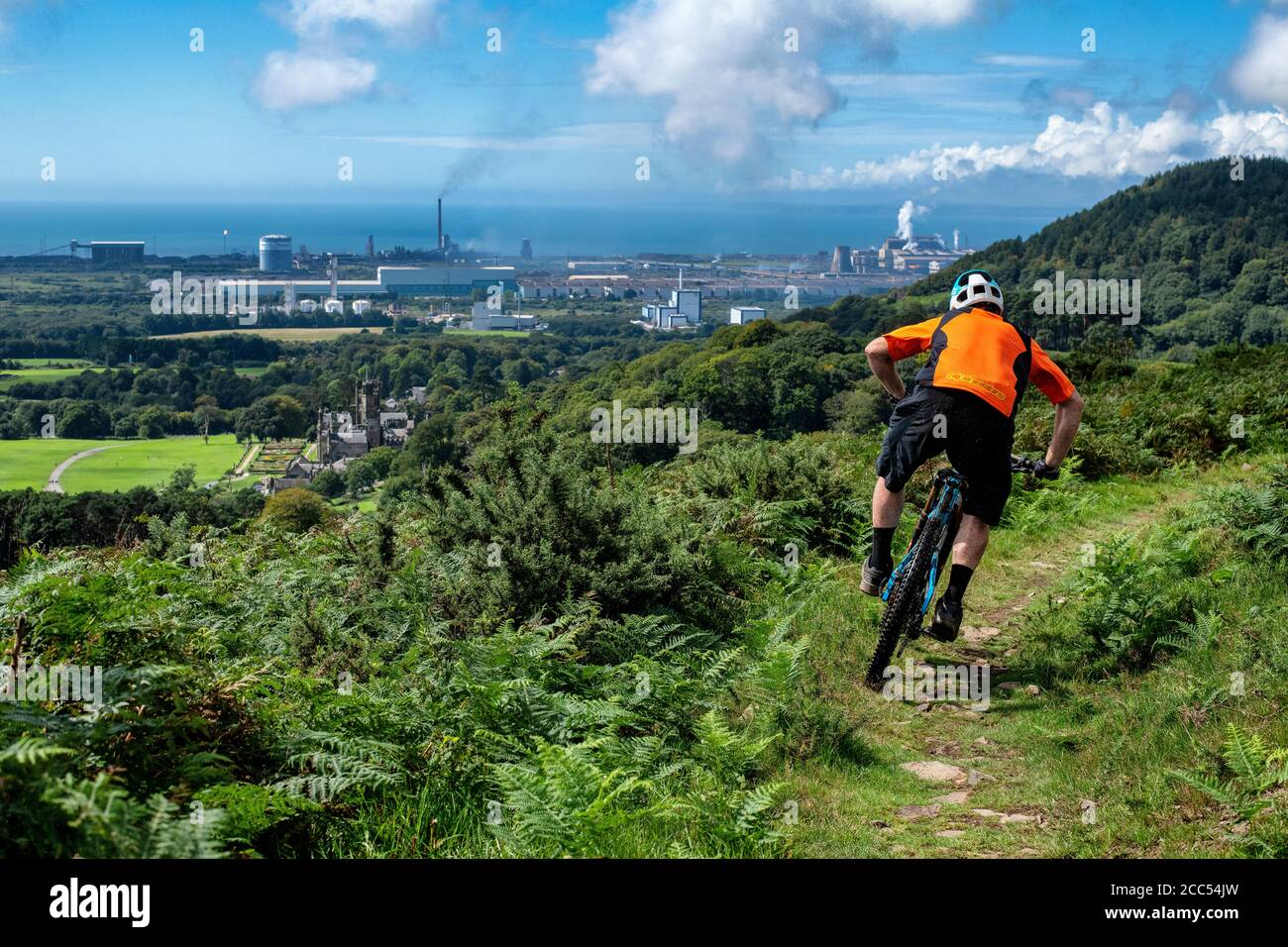Un uomo guida una mountain bike su un sentiero al Margam Country Park vicino a Port Talbot nel Galles del Sud. Foto Stock