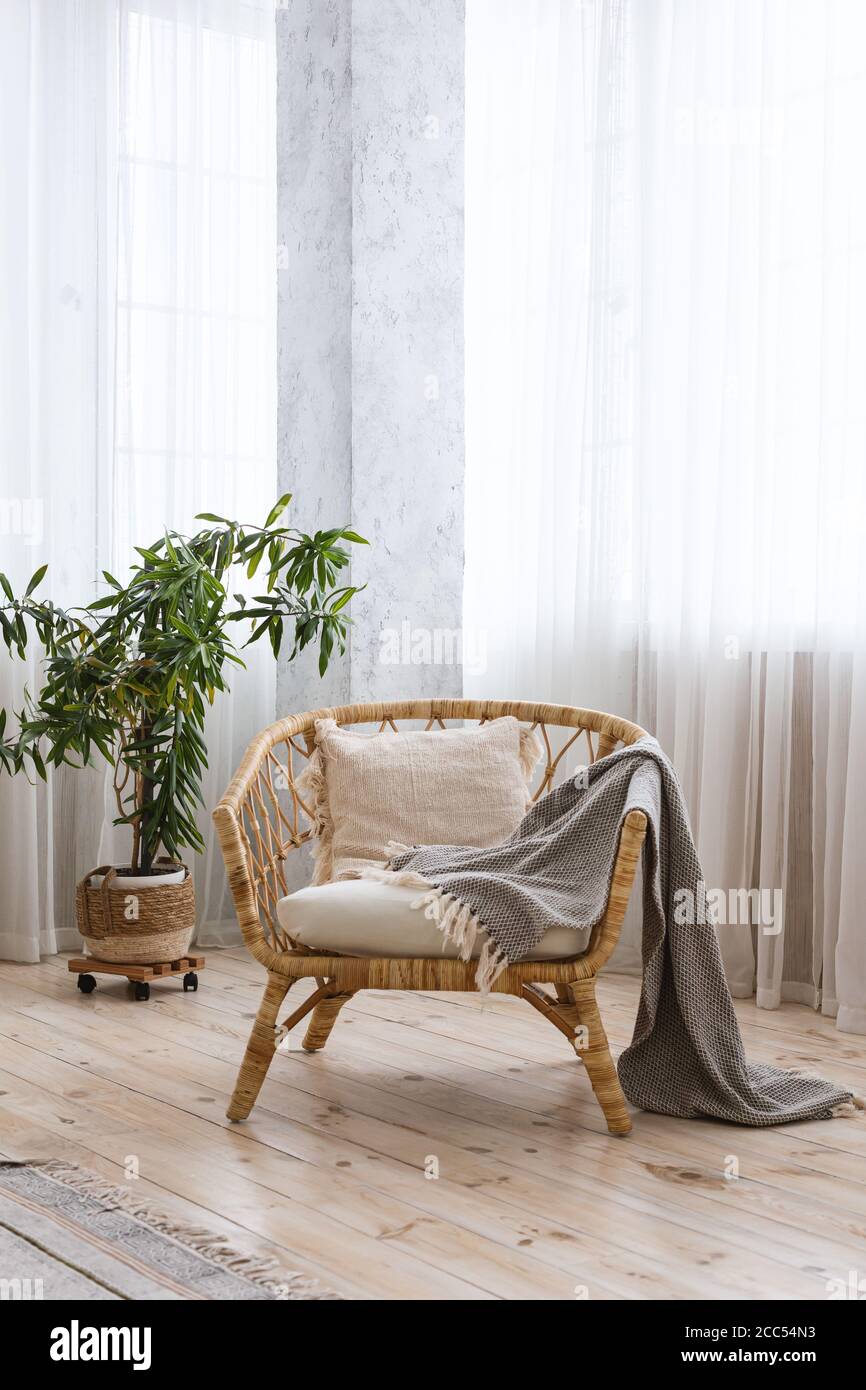 Interni moderni a casa. Sedia di legno, pianta su pentola e tende leggere sulle finestre Foto Stock