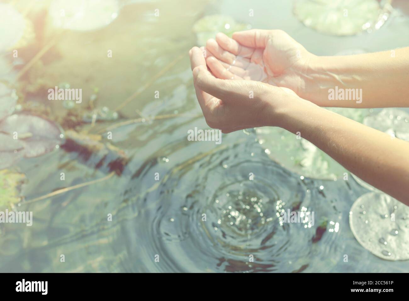 mani in forma cupolata ottenendo acqua da un lago o. fontana Foto Stock