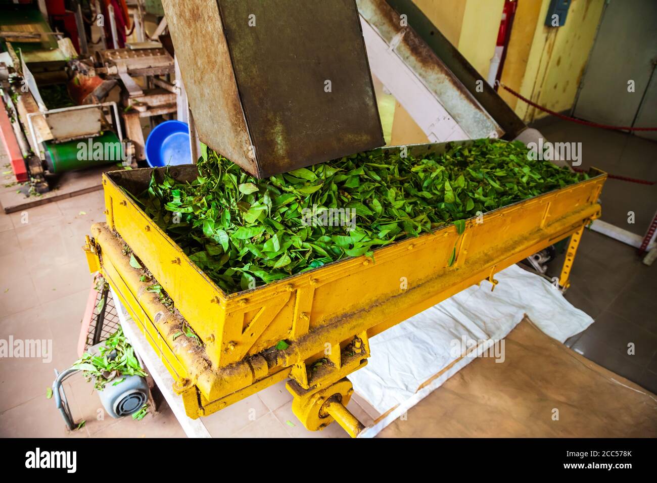 Macchine all'interno della fabbrica di tè nella città di Munnar in India Foto Stock