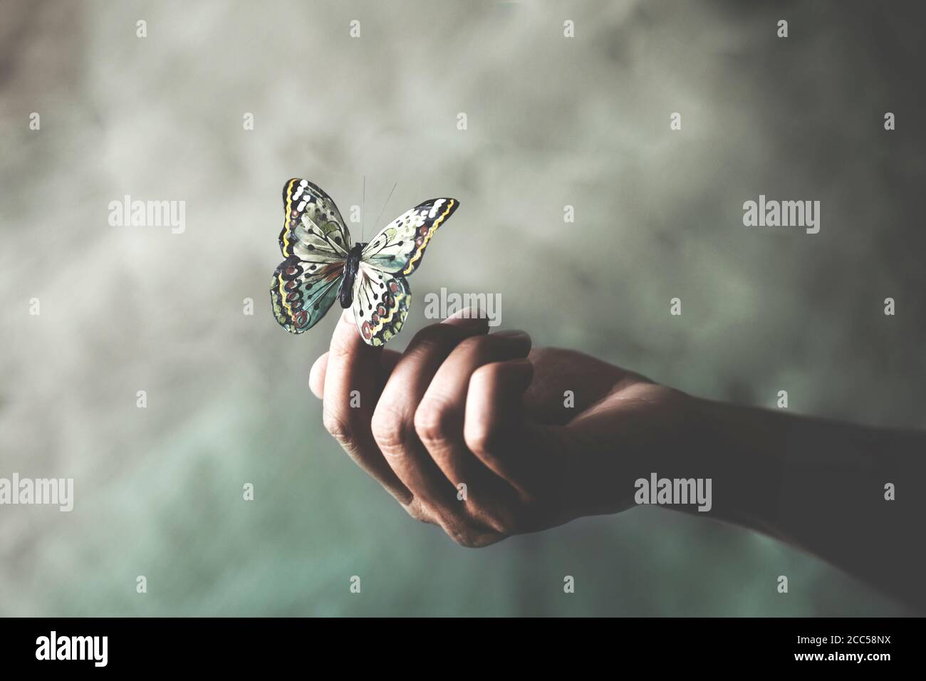 una farfalla colorata si appoggia sulla mano di una donna Foto Stock