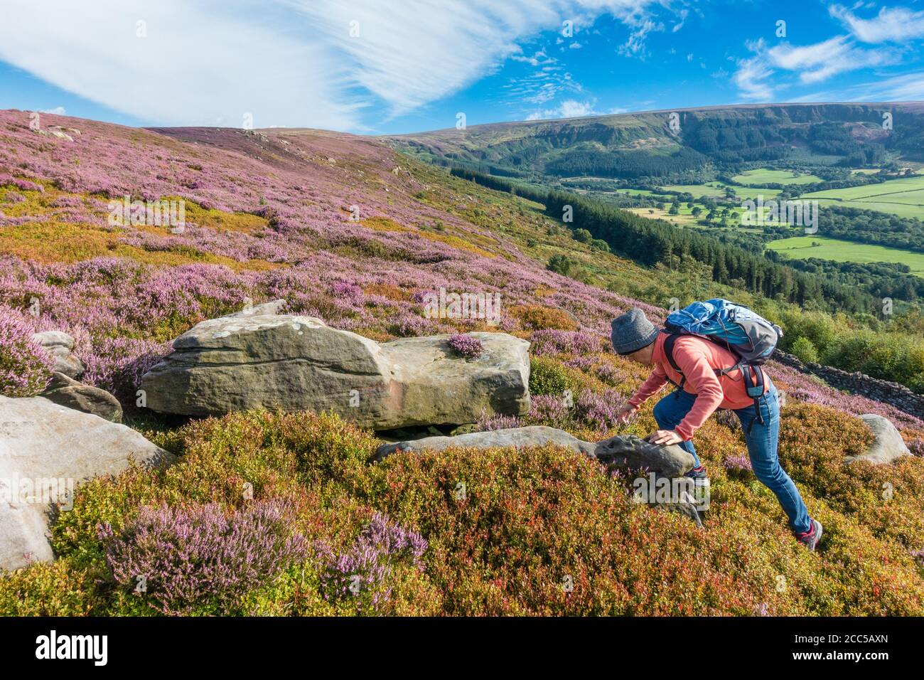 Escursionista femmina su Battersby Moor sul modo di Cleveland National Trail. North York Moors National Park, North Yorkshire, Inghilterra, Regno Unito Foto Stock