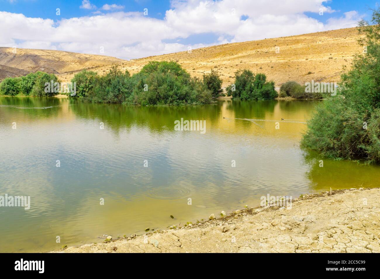 Vista sul parco e sul lago Yeruham, un lago artificiale nel mezzo del deserto del Negev, Israele meridionale Foto Stock