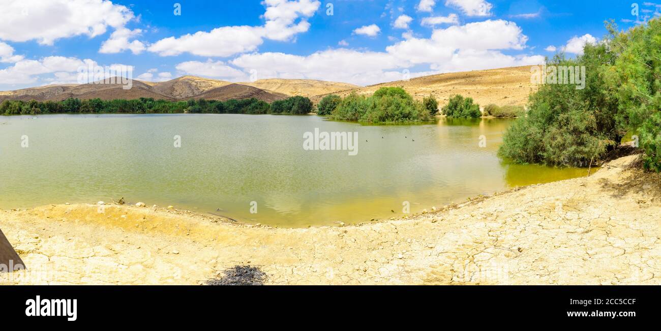 Vista panoramica del parco e del lago Yeruham, un lago artificiale nel mezzo del deserto del Negev, Israele meridionale Foto Stock