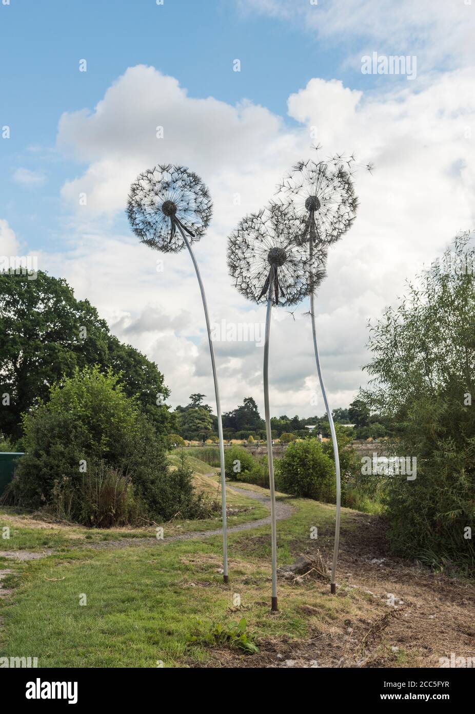 Opera d'arte scolpita a filo di grandi danelioni di Robin Wight In mostra al Trentham Gardens Staffordshire England UK Foto Stock