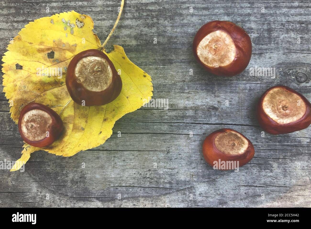 castagne e foglie di tiglio su sfondo foodino. Concept autunnale, tonalità retrò Foto Stock