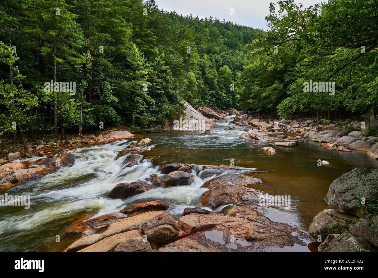 Rapide di Wilson Creek, North Carolina. Foto Stock