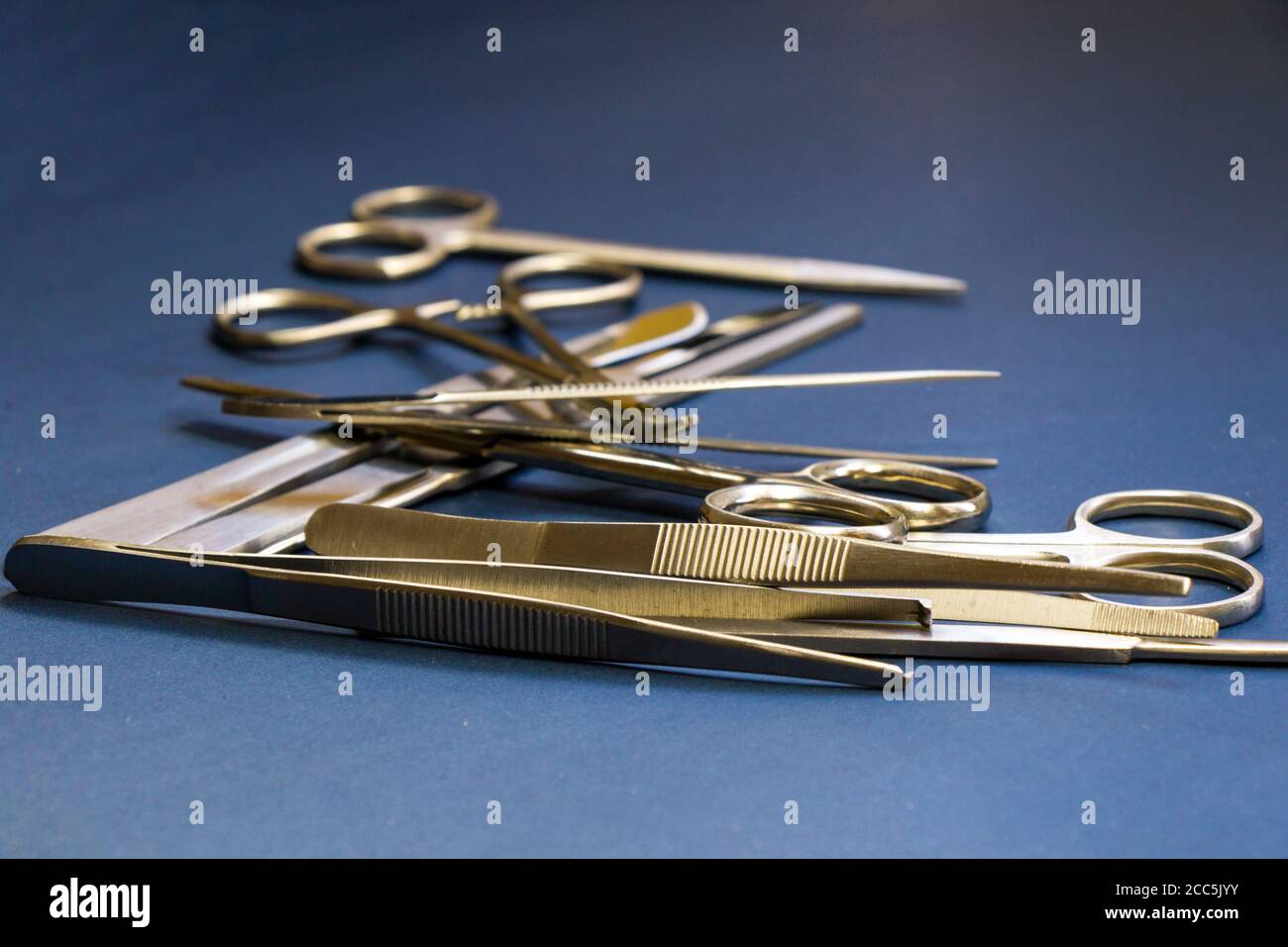 Kit di dissezione - Strumenti in acciaio inox di qualità superiore per studenti di medicina di anatomia, biologia, veterinaria, biologia marina con lame bisturi Foto Stock