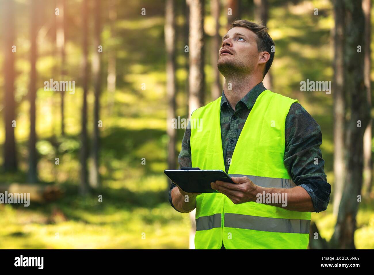 valutazione e gestione forestale - ingegnere forestale che lavora con il digitale tavoletta nel bosco Foto Stock