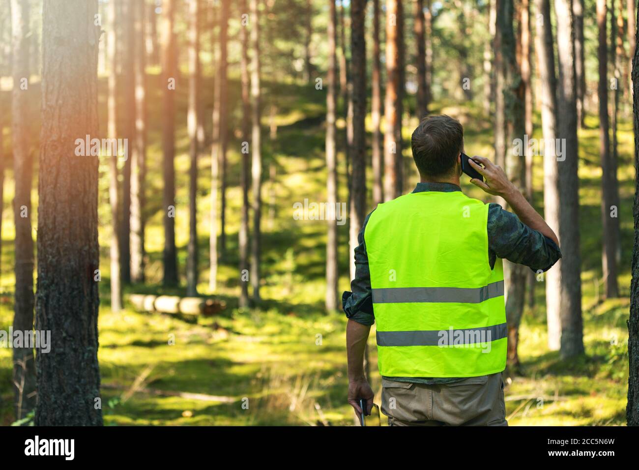 forester sta guardando lo sviluppo della foresta. silvicoltura e rimboschimento Foto Stock