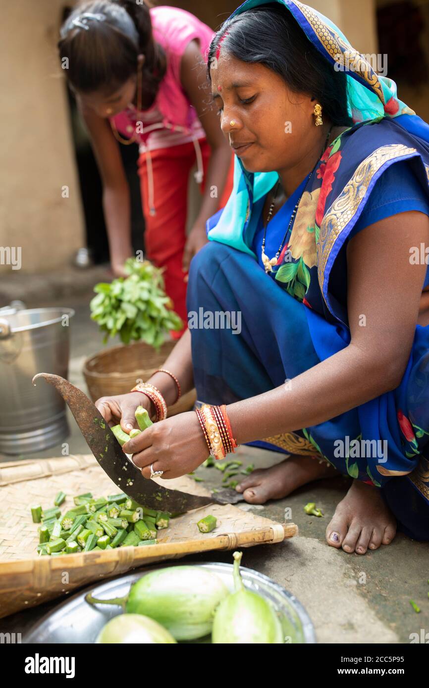 Una donna in un vestito tradizionale blu sari brulica okra con un coltello tenuto dai suoi piedi a casa della sua famiglia nella rurale Bihar, India, Asia del Sud. Foto Stock