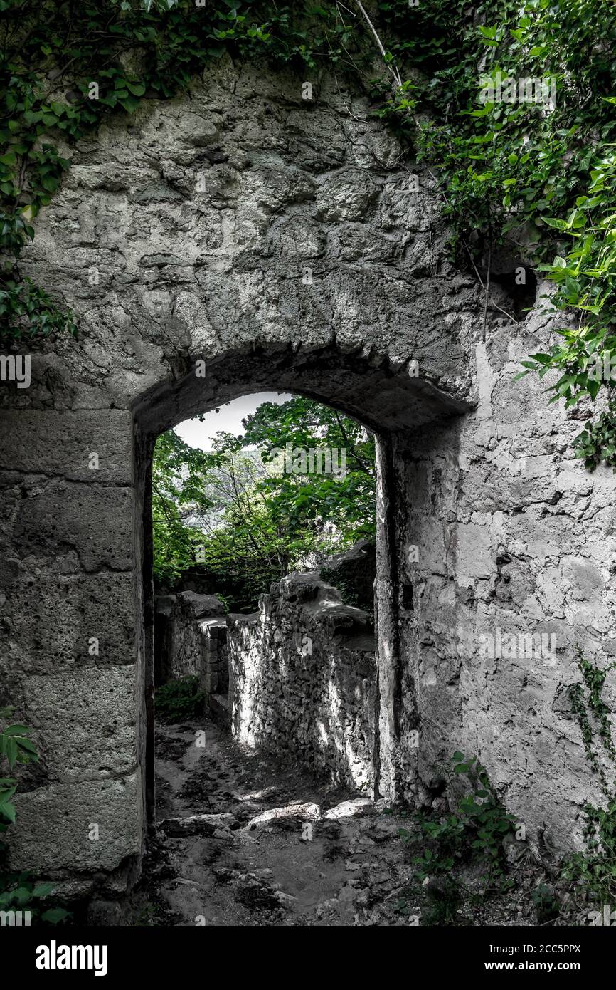 Porta Mystic dell'edificio decaduto sopravissuto da Ivy Foto Stock