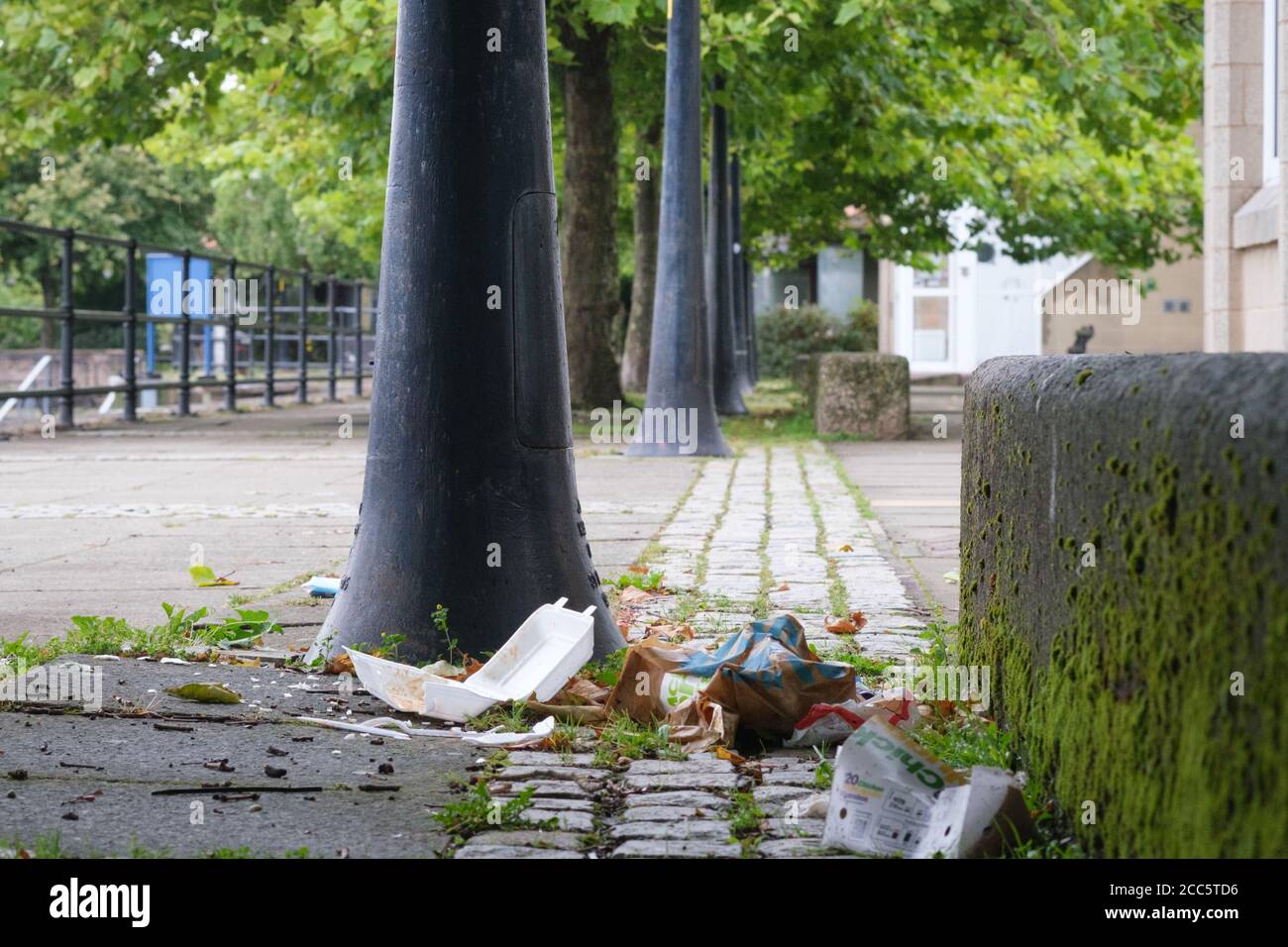 Cucciolata per le strade intorno a Preston Docks nel Lancashire Foto Stock