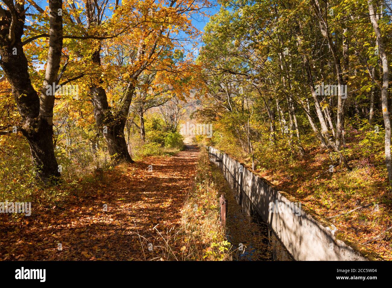 Gap Canal in pieno autunno colori. Città di Gap, Hautes-Alpes (05), Alpi francesi, Francia Foto Stock