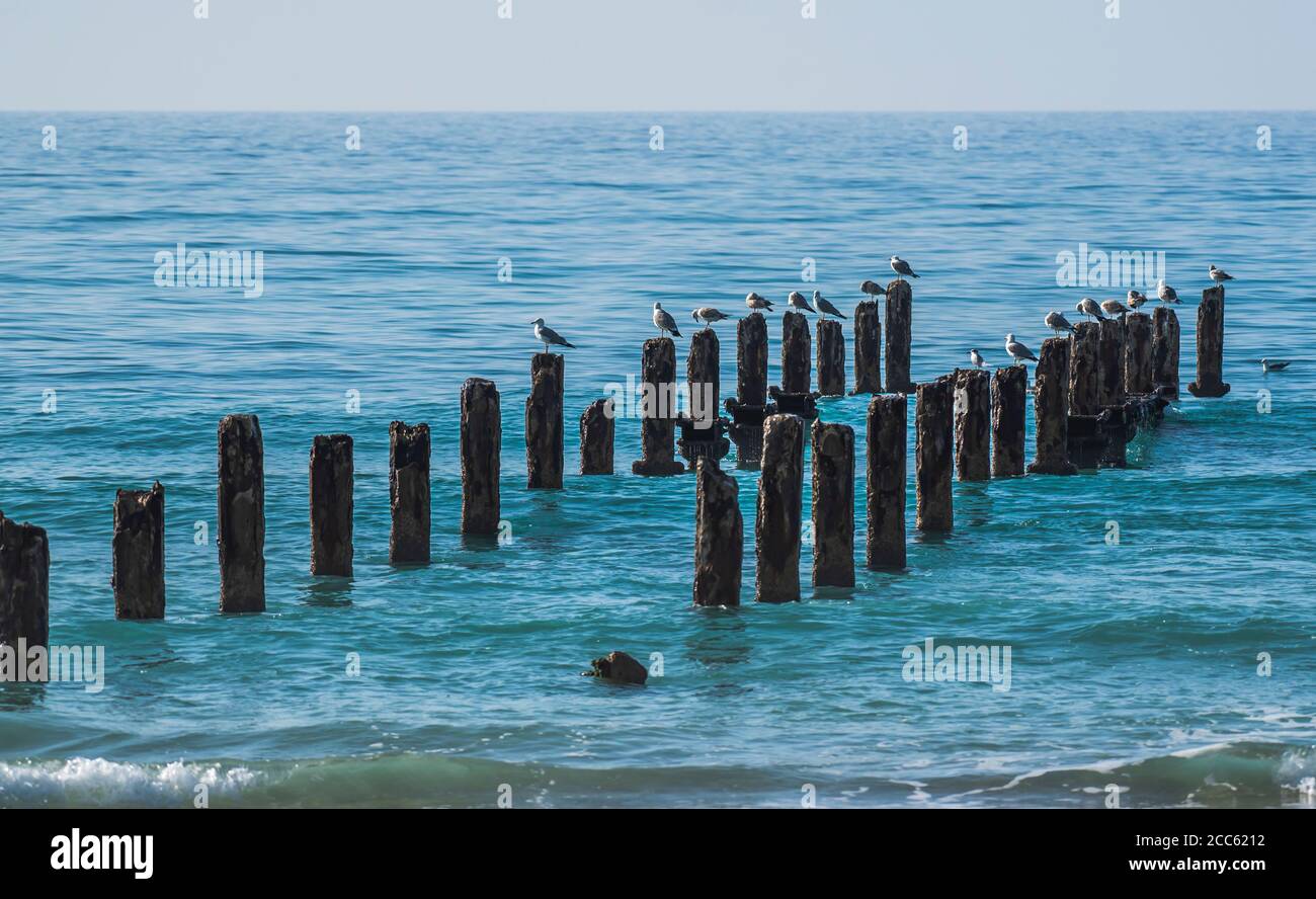 Polacchi intemperie nel Mar Mediterraneo i resti di un pontile fotografato a Beit Yanai Beach, Israele Foto Stock